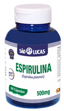 Kit Esportivo | Energia, Desempenho e Recuperação